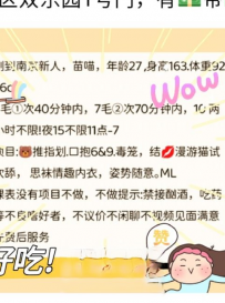秦淮苗喵