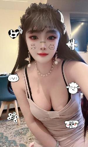 南开马达臀