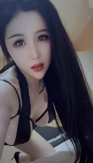 龙岗布吉小狐狸