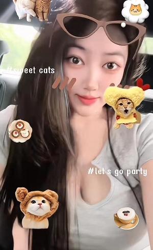 环保小奶猫