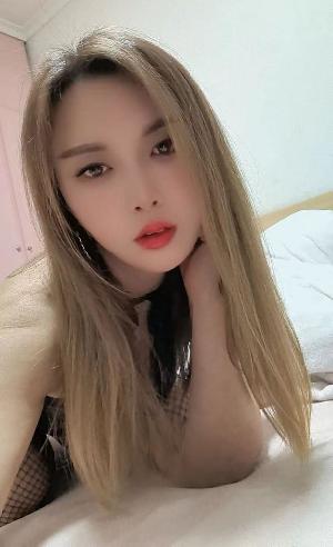 御姐类型