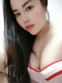 西丽D杯狐狸