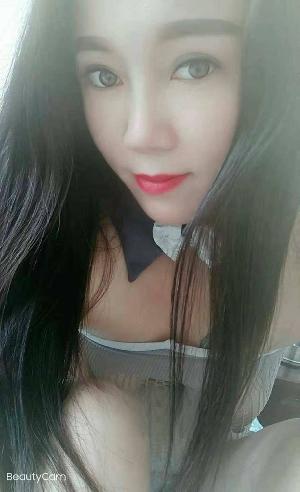 北环黑玫瑰