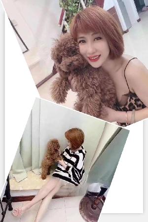青岛三通美女霞霞