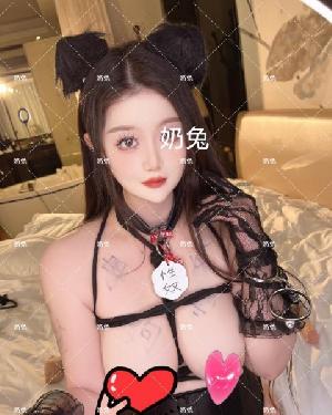 武汉奶兔