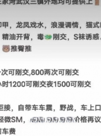 汉阳性感可三通老师