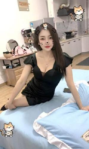 蜀山小野猫