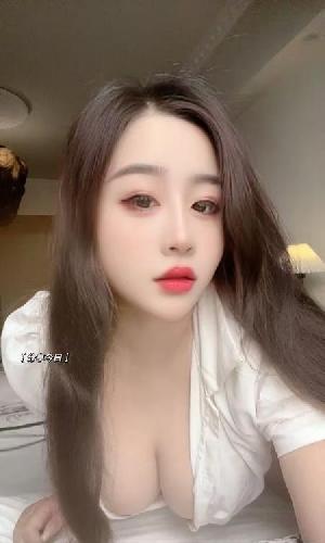 上城莞式大奶牛