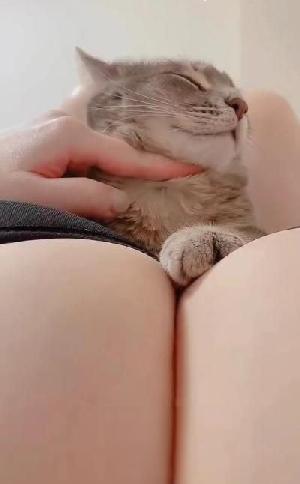 巨乳少妇f杯