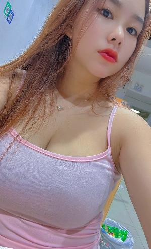 洪山小奶猫