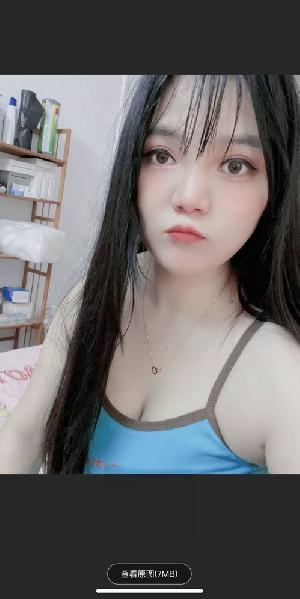 天河员村小灰灰