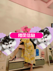 花式制服诱惑小美