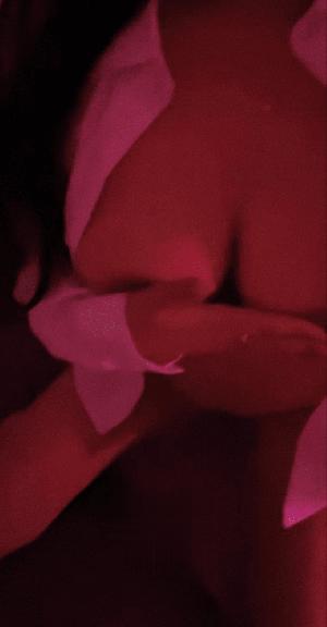 洪山小妖