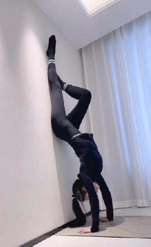 上城御姐小妖精