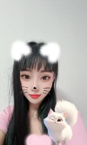 夜战合肥忘忧草