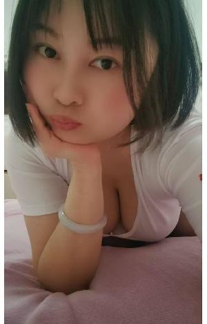 钟楼燕子