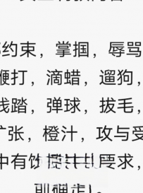 角色扮演体验