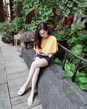 南山素锦回归