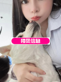 中山豆豆