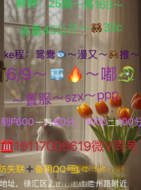 静静徐汇回归