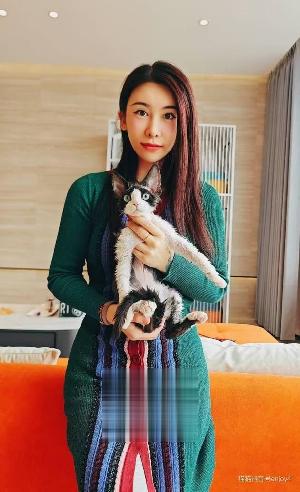 北郊喵喵，老人了