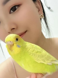 做SZ的小姐姐