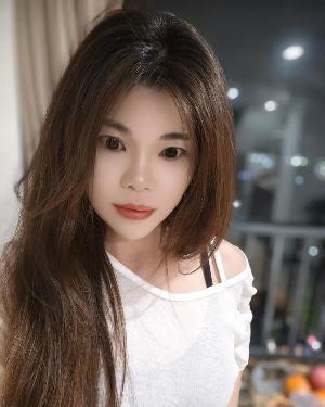 顺德小野猫