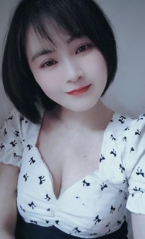 南京鼓楼湖南路含羞草