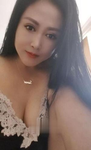 塘沽白玫瑰