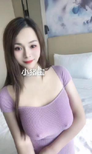 宝安大胸小猪宝