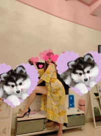 【东莞】虎门小姐姐女友感